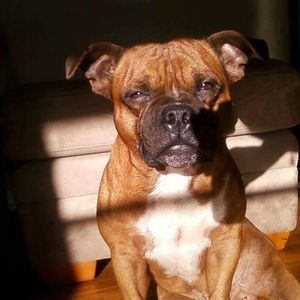 Meet your Posher, Terice